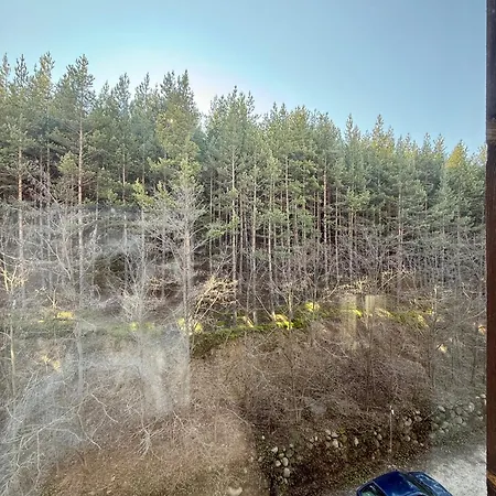 Panorama Home2host *